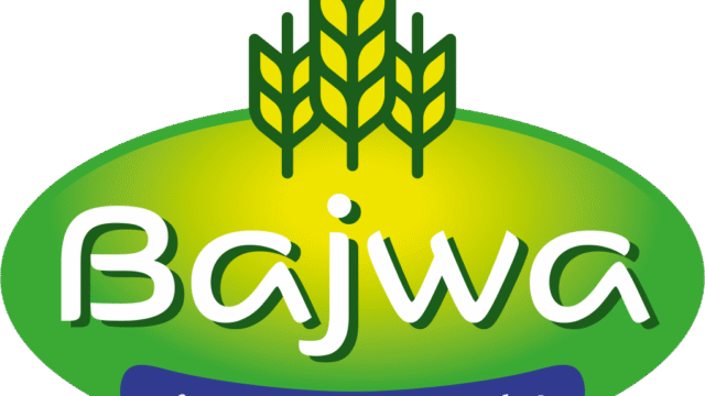 bajwa-asian-food.png